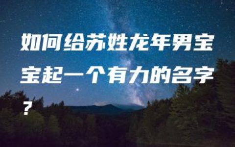 如何给苏姓龙年男宝宝起一个有力的名字？