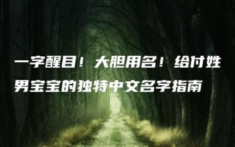 一字醒目！大胆用名！给付姓男宝宝的独特中文名字指南