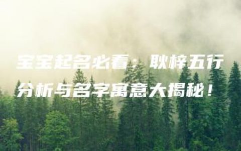 宝宝起名必看：耿梓五行分析与名字寓意大揭秘！