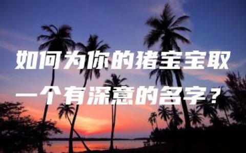 如何为你的猪宝宝取一个有深意的名字？