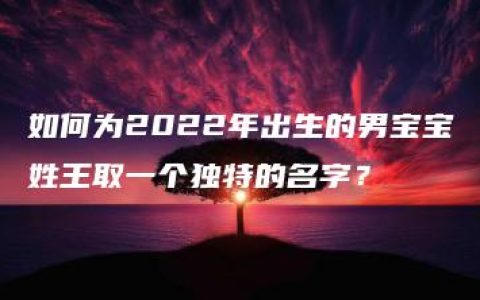 如何为2022年出生的男宝宝姓王取一个独特的名字？