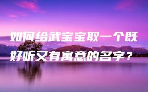 如何给武宝宝取一个既好听又有寓意的名字？