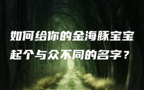 如何给你的金海豚宝宝起个与众不同的名字？