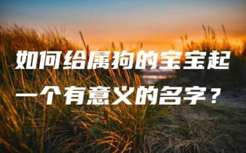 如何给属狗的宝宝起一个有意义的名字？