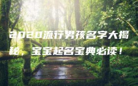 2020流行男孩名字大揭秘，宝宝起名宝典必读！