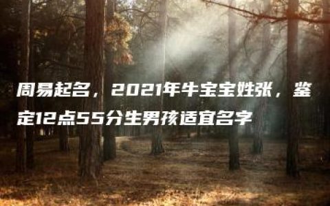 周易起名，2021年牛宝宝姓张，鉴定12点55分生男孩适宜名字