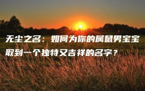 无尘之名：如何为你的属鼠男宝宝取到一个独特又吉祥的名字？