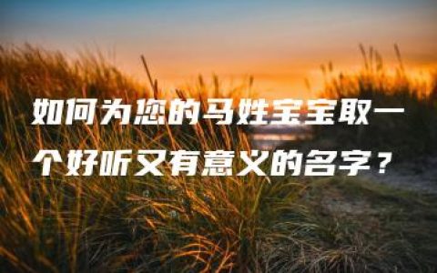 如何为您的马姓宝宝取一个好听又有意义的名字？