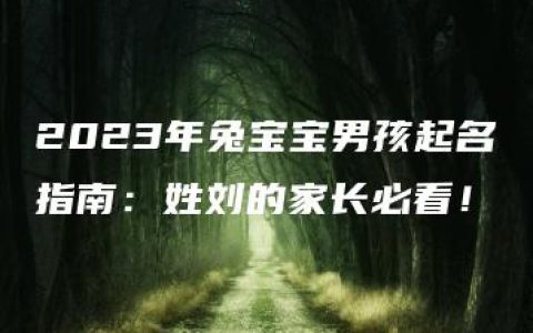 2023年兔宝宝男孩起名指南：姓刘的家长必看！