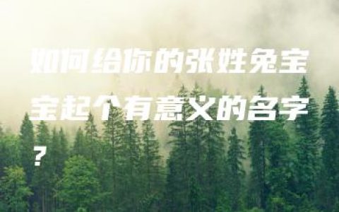 如何给你的张姓兔宝宝起个有意义的名字？