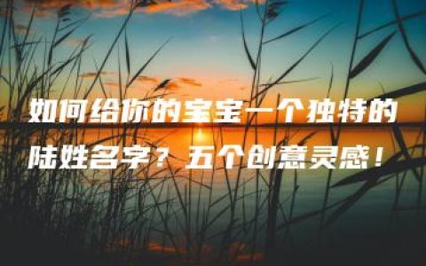 如何给你的宝宝一个独特的陆姓名字？五个创意灵感！