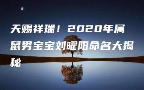 天赐祥瑞！2020年属鼠男宝宝刘曜阳命名大揭秘