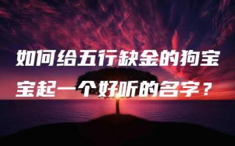 如何给五行缺金的狗宝宝起一个好听的名字？