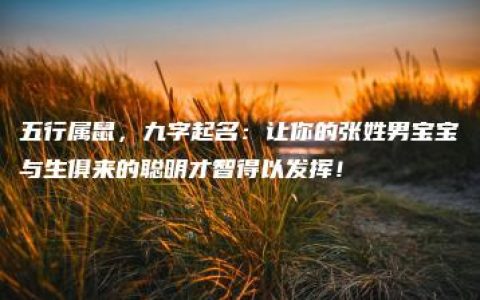 五行属鼠，九字起名：让你的张姓男宝宝与生俱来的聪明才智得以发挥！