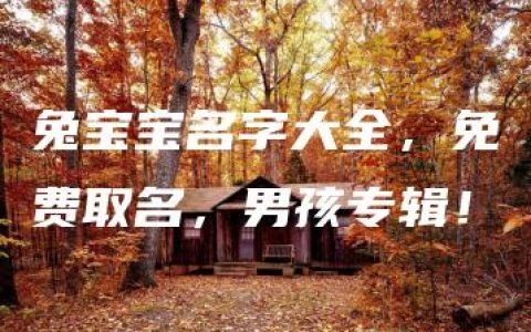 兔宝宝名字大全，免费取名，男孩专辑！