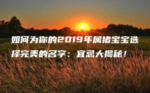 如何为你的2019年属猪宝宝选择完美的名字：宜忌大揭秘！