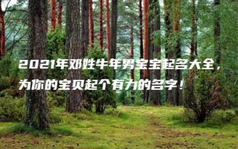 2021年邓姓牛年男宝宝起名大全，为你的宝贝起个有力的名字！