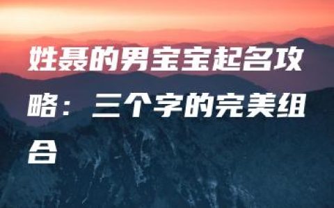 姓聂的男宝宝起名攻略：三个字的完美组合