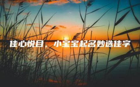 佳心悦目，小宝宝起名妙选佳字