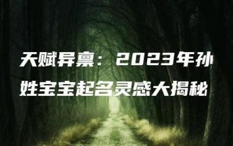 天赋异禀：2023年孙姓宝宝起名灵感大揭秘