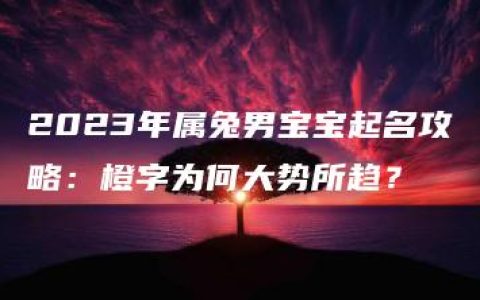 2023年属兔男宝宝起名攻略：橙字为何大势所趋？