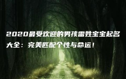 2020最受欢迎的男孩雷姓宝宝起名大全：完美匹配个性与命运！