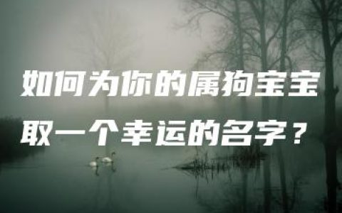 如何为你的属狗宝宝取一个幸运的名字？