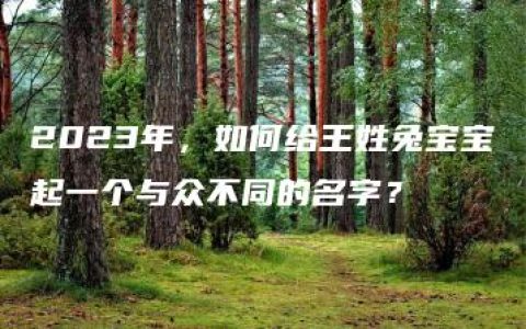 2023年，如何给王姓兔宝宝起一个与众不同的名字？