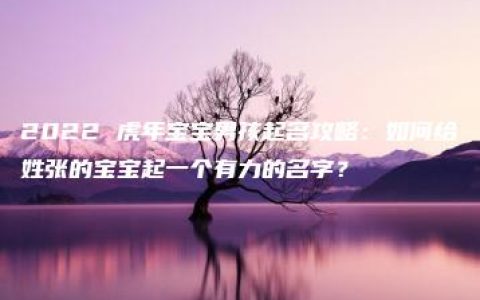 2022 虎年宝宝男孩起名攻略：如何给姓张的宝宝起一个有力的名字？