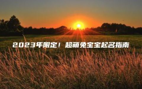 2023年限定！超萌兔宝宝起名指南