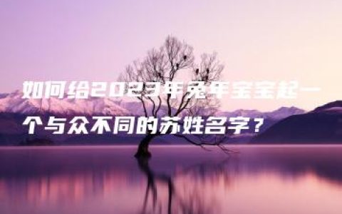 如何给2023年兔年宝宝起一个与众不同的苏姓名字？