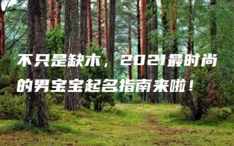 不只是缺木，2021最时尚的男宝宝起名指南来啦！