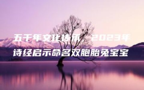 五千年文化传承，2023年诗经启示命名双胞胎兔宝宝