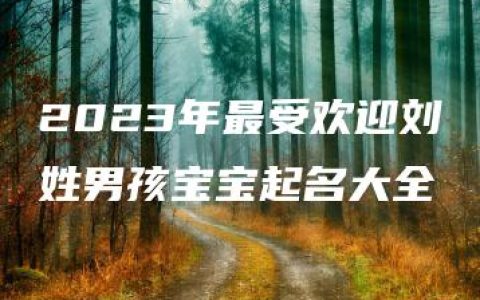 2023年最受欢迎刘姓男孩宝宝起名大全