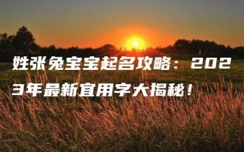 姓张兔宝宝起名攻略：2023年最新宜用字大揭秘！