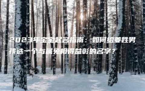 2023年宝宝起名指南：如何给姜姓男孩选一个与属兔相得益彰的名字？