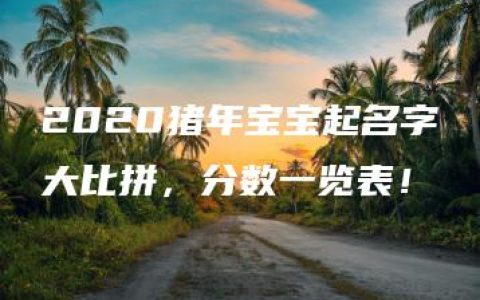 2020猪年宝宝起名字大比拼，分数一览表！