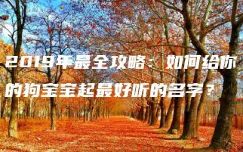 2019年最全攻略：如何给你的狗宝宝起最好听的名字？