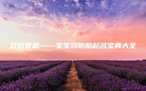 双倍爱意——宝宝双胞胎起名宝典大全