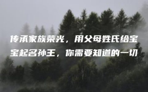 传承家族荣光，用父母姓氏给宝宝起名孙王，你需要知道的一切