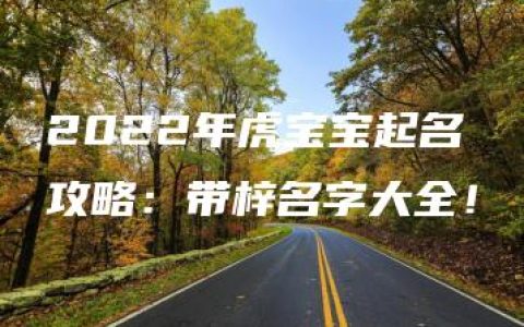 2022年虎宝宝起名攻略：带梓名字大全！