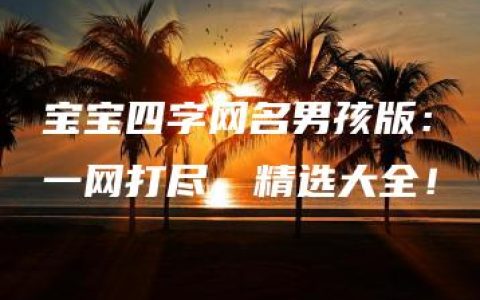 宝宝四字网名男孩版：一网打尽，精选大全！