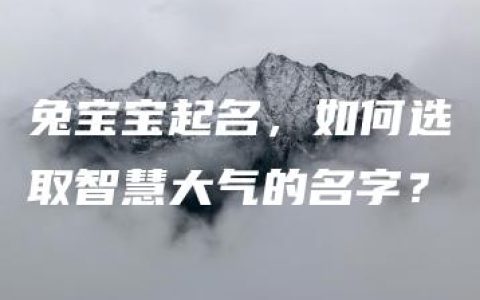 兔宝宝起名，如何选取智慧大气的名字？