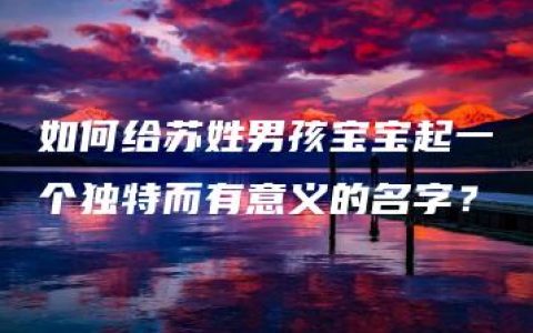 如何给苏姓男孩宝宝起一个独特而有意义的名字？