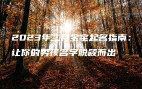 2023年二月宝宝起名指南：让你的男孩名字脱颖而出