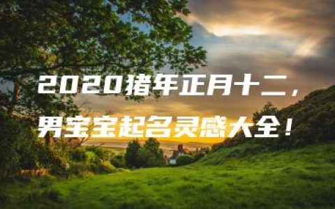 2020猪年正月十二，男宝宝起名灵感大全！