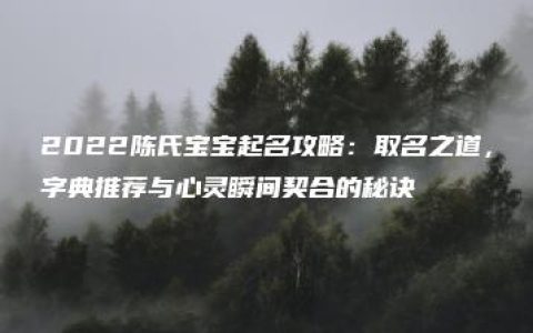 2022陈氏宝宝起名攻略：取名之道，字典推荐与心灵瞬间契合的秘诀