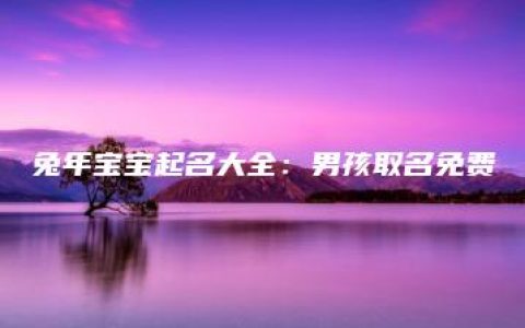 兔年宝宝起名大全：男孩取名免费