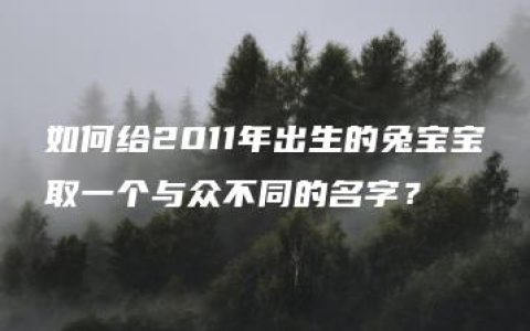 如何给2011年出生的兔宝宝取一个与众不同的名字？