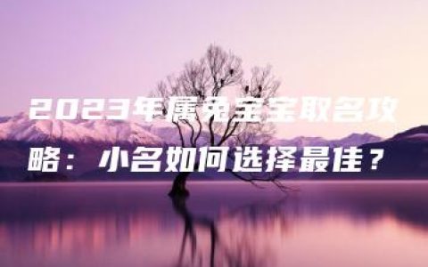 2023年属兔宝宝取名攻略：小名如何选择最佳？